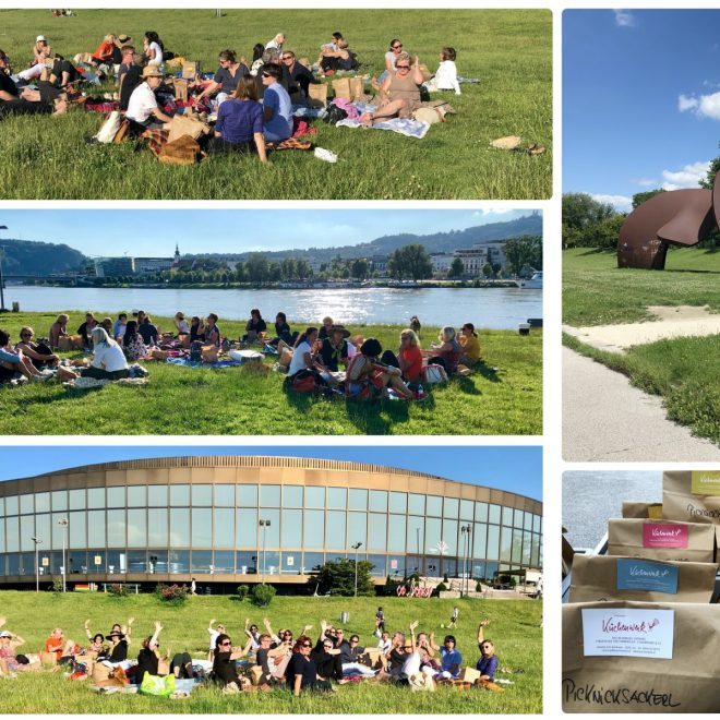 EWMD Austria Linz 2020-7-4_Picknick